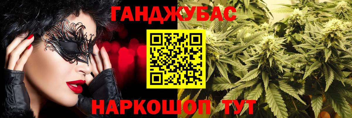 Бошки Шишки план Чапаевск